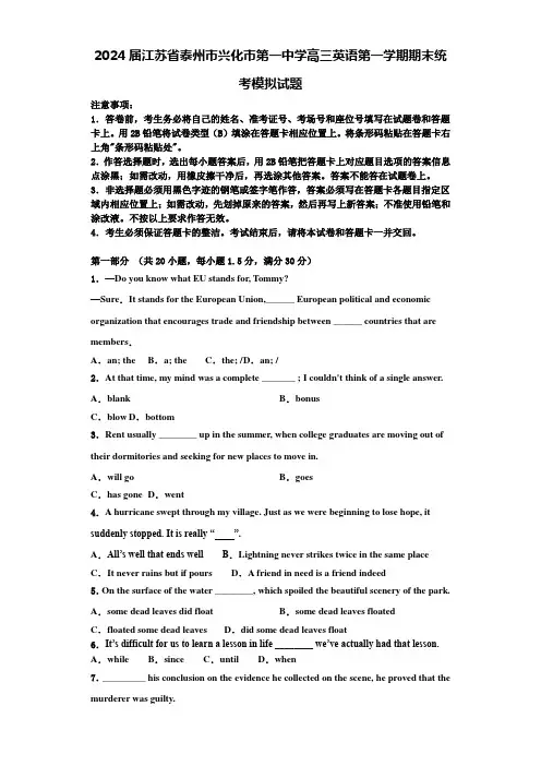 2024届江苏省泰州市兴化市第一中学高三英语第一学期期末统考模拟试题含解析