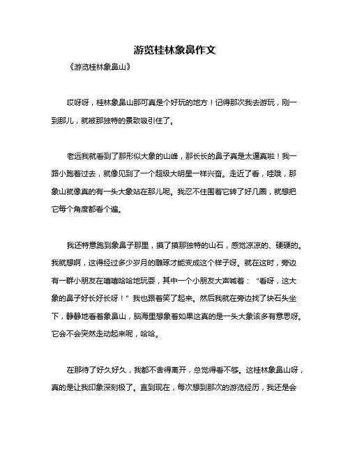 游览桂林象鼻作文