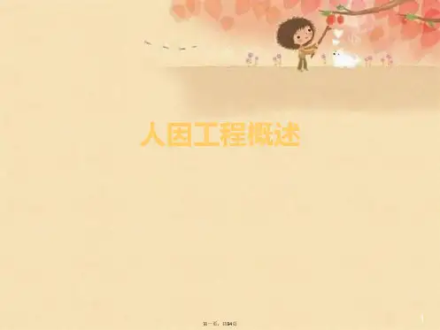 人因工程概述