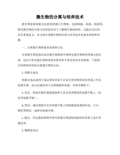 微生物的分离与培养技术