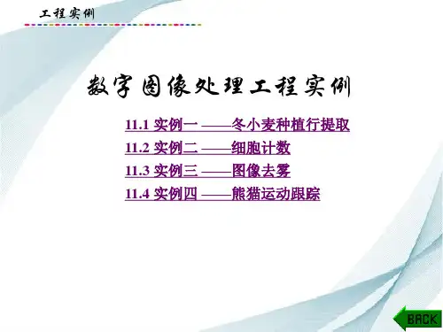 数字图像处理项目实例
