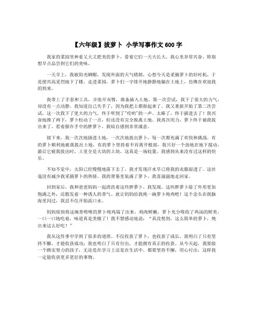 【六年级】拔萝卜 小学写事作文600字