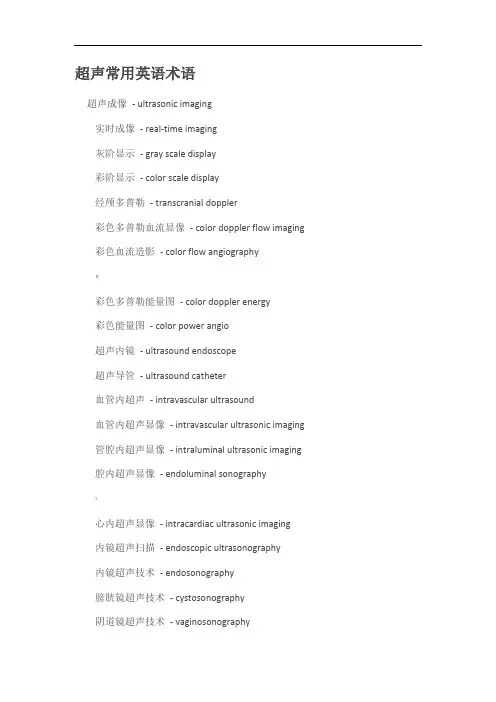 超声常用英语术语