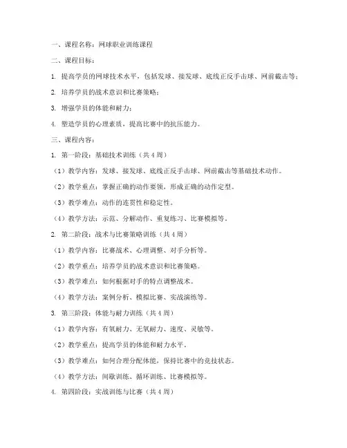 网球职业训练教案模板范文