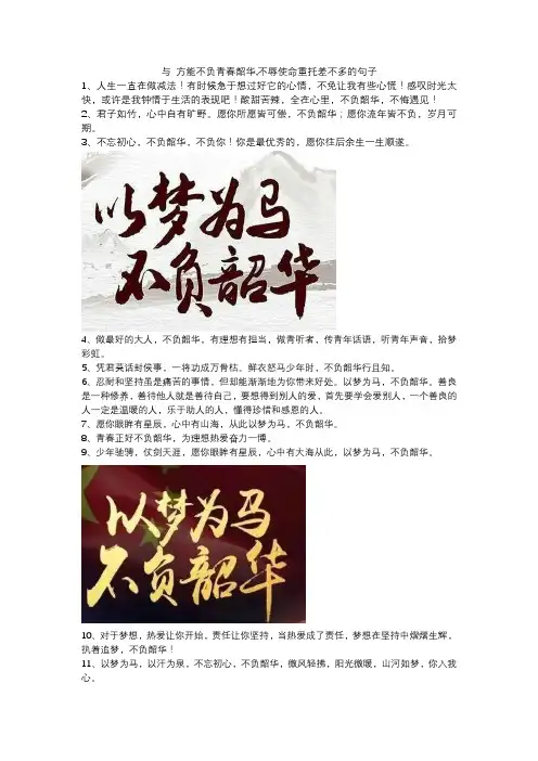 与 方能不负青春韶华,不辱使命重托差不多的句子