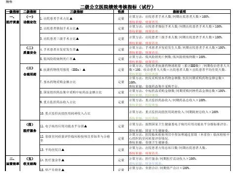 二级公立医院绩效考核指标(excel)