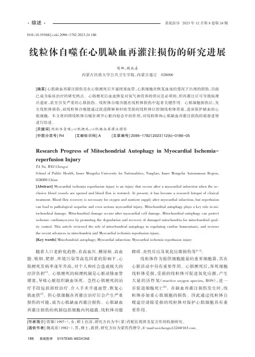 线粒体自噬在心肌缺血再灌注损伤的研究进展