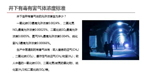 井下有毒有害气体浓度标准