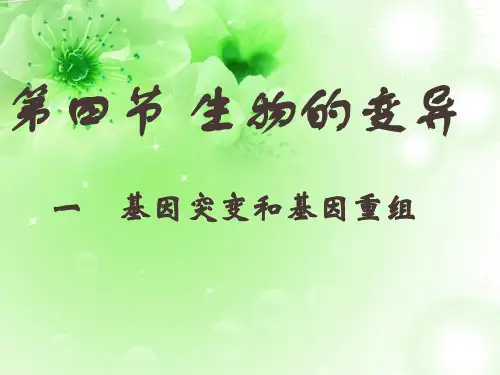 生物的变异PPT教学课件