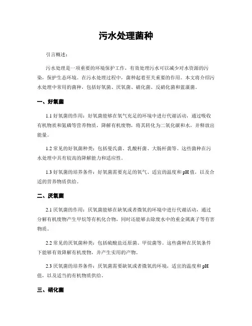 污水处理菌种
