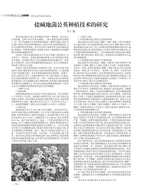 盐碱地蒲公英种植技术的研究