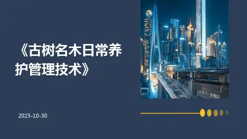 古树名木日常养护管理技术