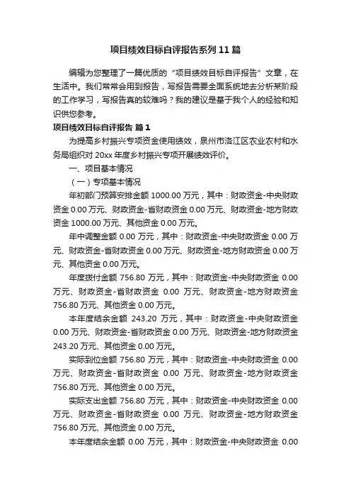 项目绩效目标自评报告系列11篇