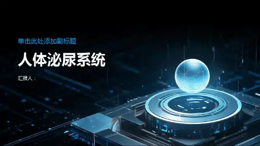 《人体泌尿系统》课件
