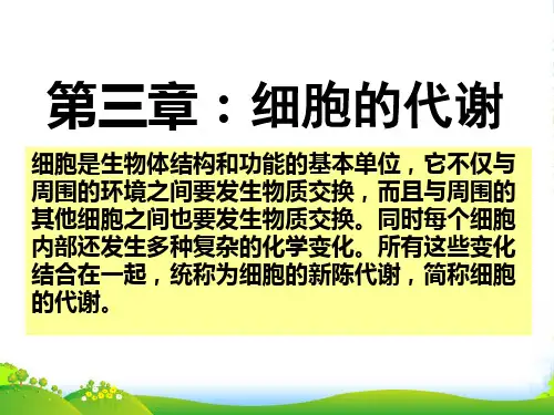 高中生物 第三章 第一节：细胞与能量课件 浙教必修1