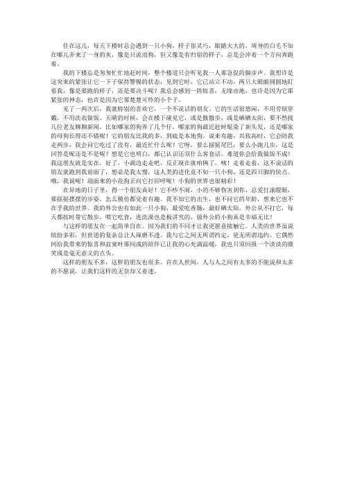 不说话的朋友