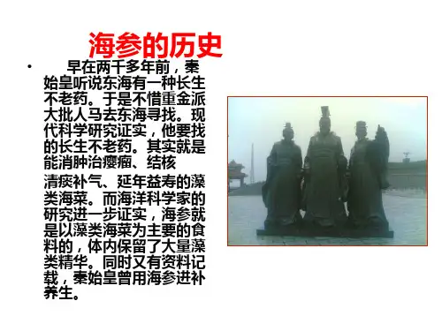 最全海参课件.ppt