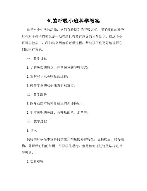 鱼的呼吸小班科学教案