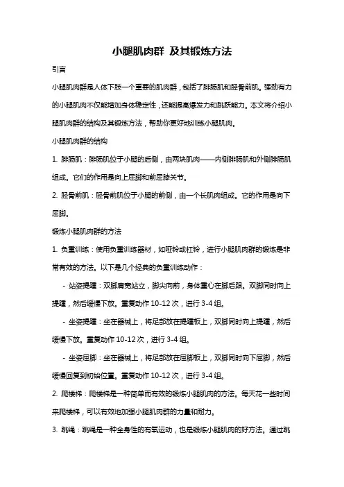 小腿肌肉群 及其锻炼方法