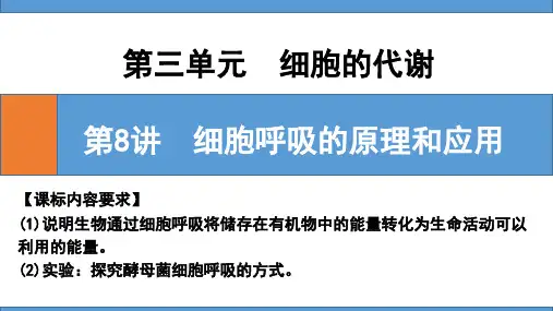 高三一轮复习生物第8讲细胞呼吸的原理和应用课件