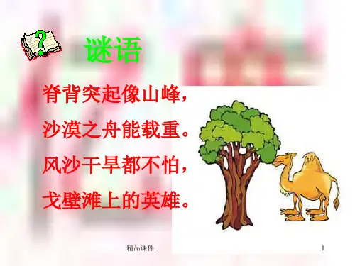 16经典.《找骆驼》经典.ppt
