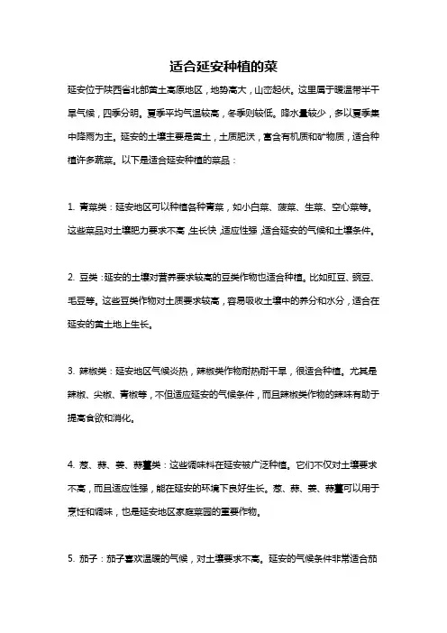 适合延安种植的菜