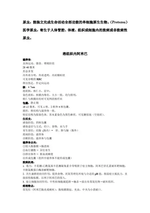 阿米巴