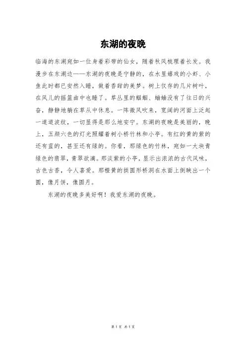 东湖的夜晚_三年级作文
