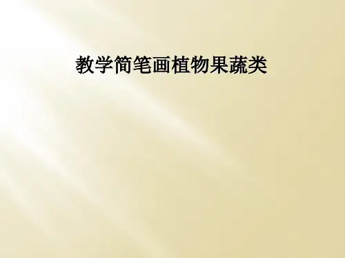 教学简笔画植物果蔬类