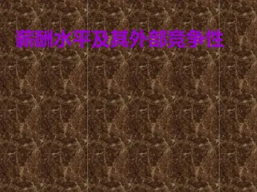 薪酬水平及其外部竞争性(ppt65张)