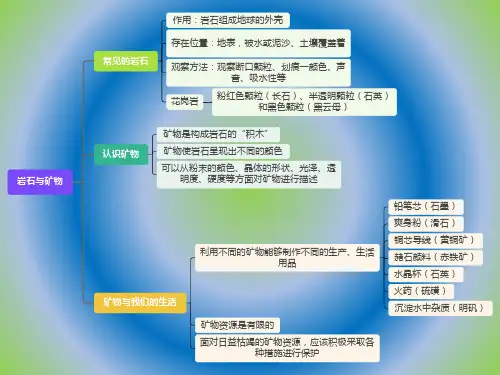 新苏教版四年级上册科学PPT课件《思维导图》