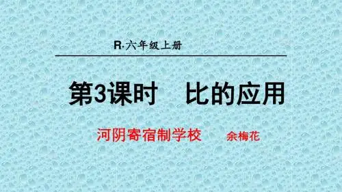 第3课时 按比分配