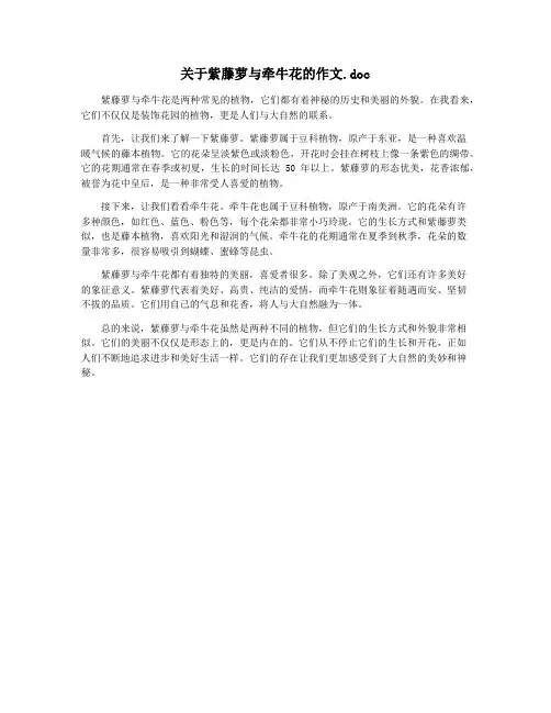 关于紫藤萝与牵牛花的作文.doc