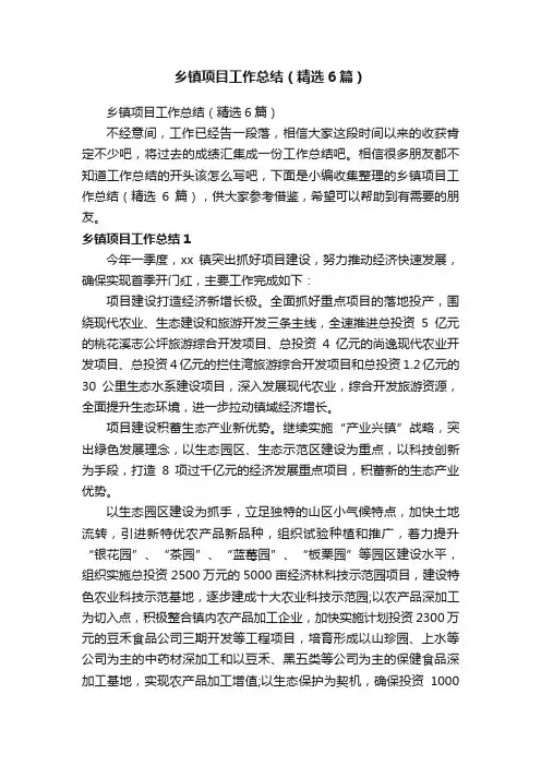 乡镇项目工作总结（精选6篇）