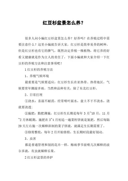 红豆杉盆景怎么养？