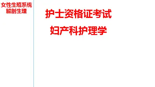 7-1女性生殖系统解剖生理的护理要点及习题讲解