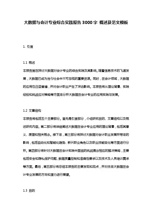 大数据与会计专业综合实践报告3000字_概述及范文模板