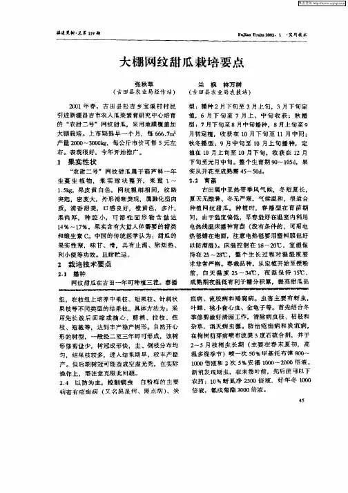 大棚网纹甜瓜栽培要点