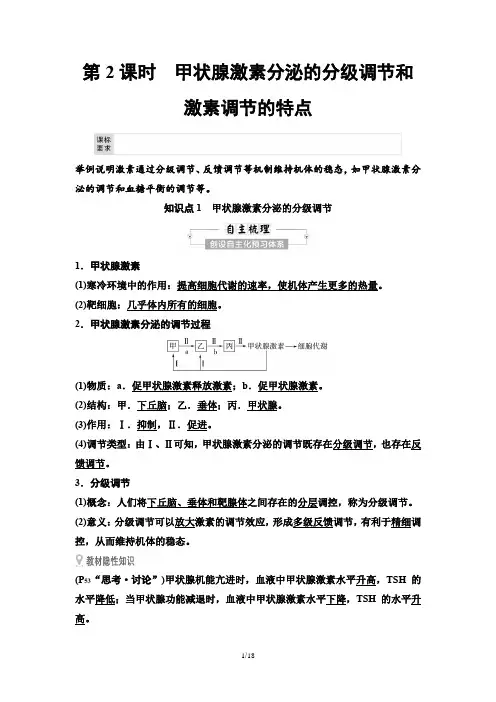 13 第3章 第2节 第2课时 甲状腺激素分泌的分级调节和激素调节的特点