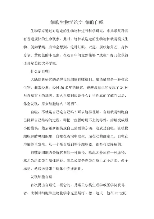 细胞生物学论文-细胞自噬