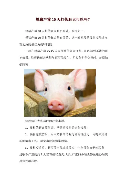 母猪产前10天打伪狂犬可以吗？