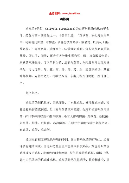 鸡枞菌