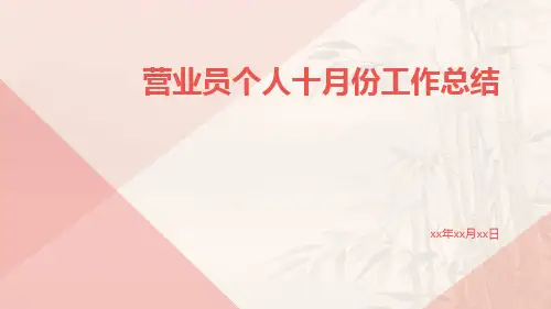 营业员个人十月份工作总结PPT