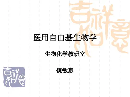 一、自由基的基本知识