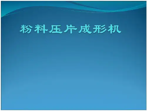 压片成形机演讲ppt课件