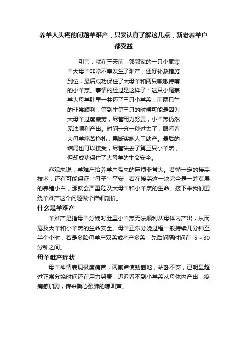 养羊人头疼的问题羊难产，只要认真了解这几点，新老养羊户都受益