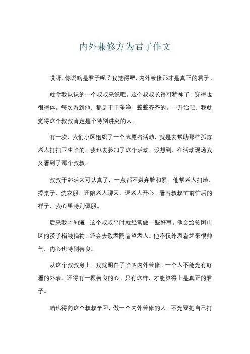 内外兼修方为君子作文