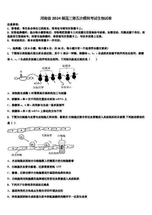 河南省2024届高三第五次模拟考试生物试卷含解析