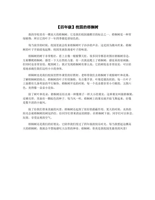 【四年级】校园的梧桐树