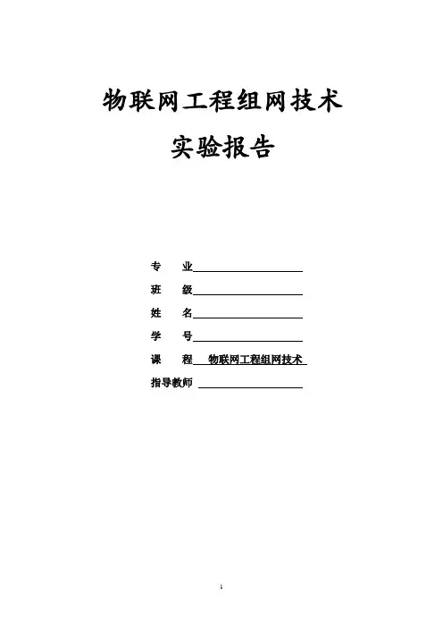 物联网工程组网技术实验报告汇总详解